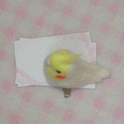 miniオカメインコ ルチノー（赤目）☆マグネット/ブローチどちらか選択　足有に変更可能　受注作成　羊毛フェルト 4枚目の画像