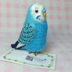 （小）虎皮鸚鵡2☆夾＆胸針☆羊毛氈mini Budgerigar 2★ clip & brooch 第2張的照片