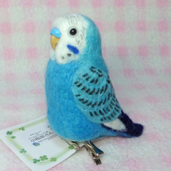 （小）虎皮鸚鵡2☆夾＆胸針☆羊毛氈mini Budgerigar 2★ clip & brooch 第3張的照片