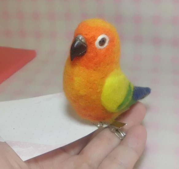 (小）太陽錐尾鸚鵡(金太陽）☆夾＆胸針☆羊毛氈***mini Sun Conure ★ clip & brooch 第4張的照片