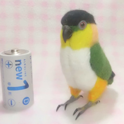 コガネメキシコインコ mini♪☆ マグネット/ブローチどちらか選択　足有に変更可能　受注作成　 羊毛フェルト 6枚目の画像