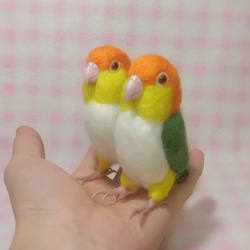 コガネメキシコインコ mini♪☆ マグネット/ブローチどちらか選択　足有に変更可能　受注作成　 羊毛フェルト 7枚目の画像