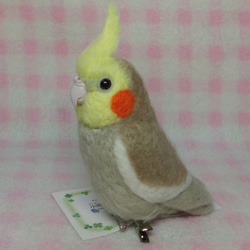 オカメインコ mini シナモングレー ♪☆マグネット/ブローチどちらか選択　足有に変更可能　受注作成　羊毛フェルト 2枚目の画像