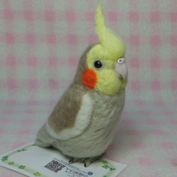 オカメインコ mini シナモングレー ♪☆マグネット/ブローチどちらか選択　足有に変更可能　受注作成　羊毛フェルト 3枚目の画像