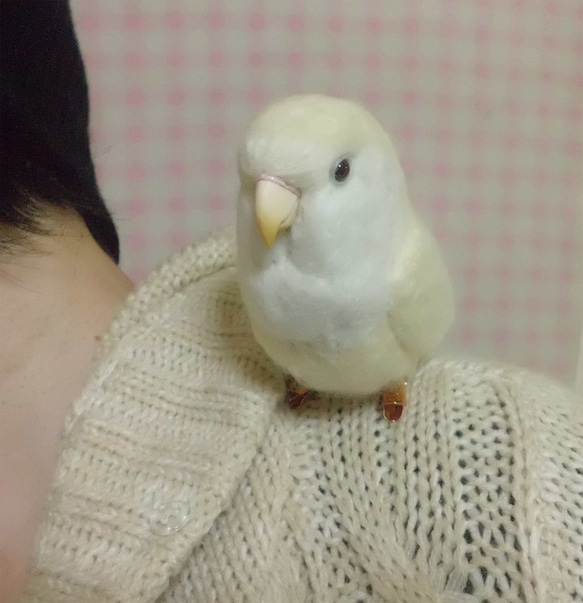 羊毛フェルト コザクラインコ アルビノ(濃赤目）(クリップから足へ変更作成可）ライフサイズ　受注作成　うちの子オーダー可 1枚目の画像