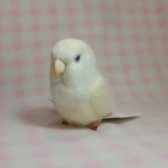 羊毛フェルト コザクラインコ アルビノ(濃赤目）(クリップから足へ変更作成可）ライフサイズ　受注作成　うちの子オーダー可 3枚目の画像