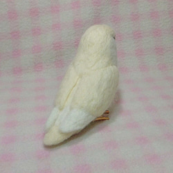 Wool clip 　Lovebird1 第4張的照片