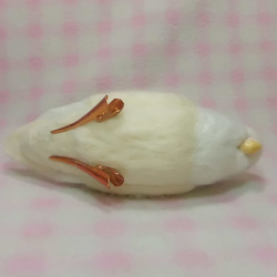 Wool clip 　Lovebird1 第5張的照片