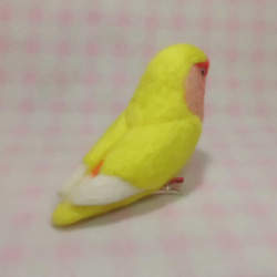 羊毛フェルト コザクラインコ ルチノー(濃赤目）(クリップから足へ変更作成可）ライフサイズ　受注作成　うちの子オーダー可 4枚目の画像