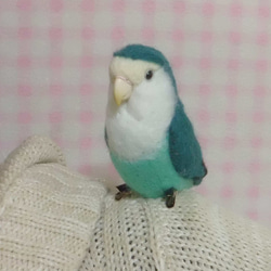 羊毛フェルト コザクラインコ コバルト系(クリップから足へ変更作成可）ライフサイズ　受注作成　うちの子オーダー可能 1枚目の画像