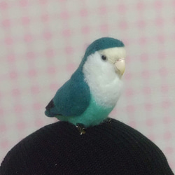 Wool clip 　Lovebird4 第2張的照片