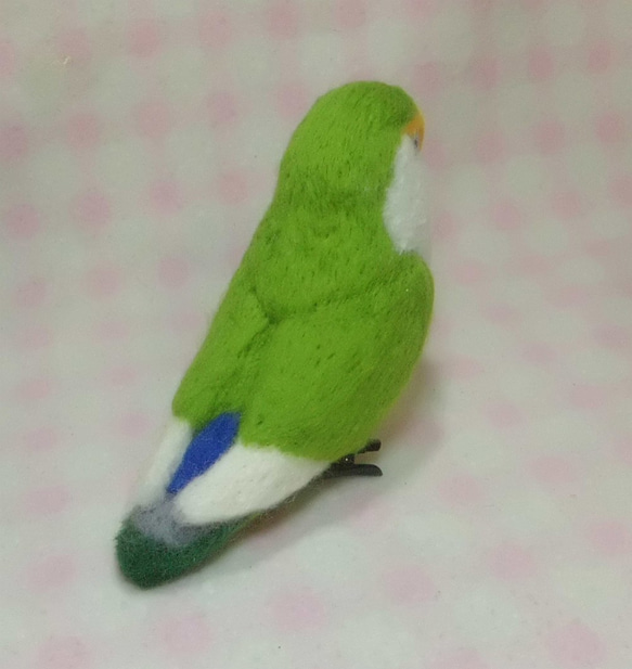 Wool clip 　Lovebird5 第4張的照片