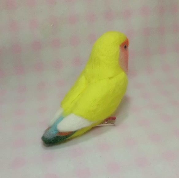 Wool clip 　Lovebird7 第4張的照片