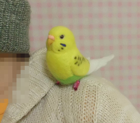 羊毛フェルト セキセイインコ クリップ / イエローハルクイン (クリップから足へ変更作成可）受注作成　鼻の色変更可能 1枚目の画像