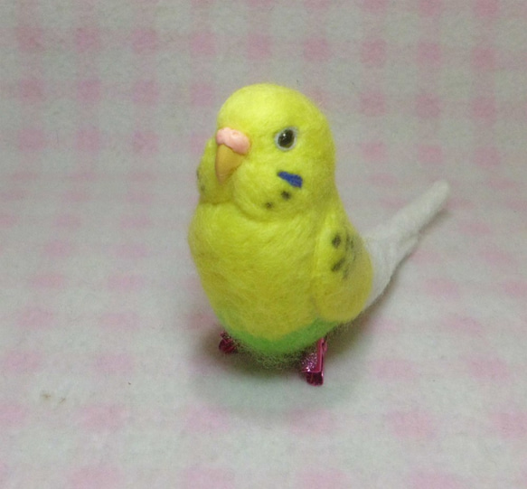 Wool clip 　Budgerigar1 第3張的照片