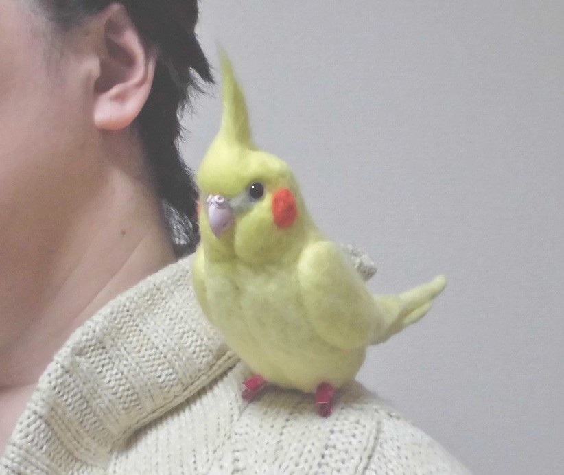 羊毛フェルト  オカメインコ クリップ / イエロ－ルチノ－ (クリップから足へ変更作成可）ライフサイズ　受注作成