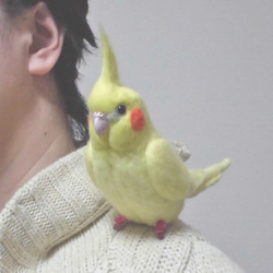 羊毛フェルト オカメインコ クリップ / イエロ－ルチノ－ (クリップ
