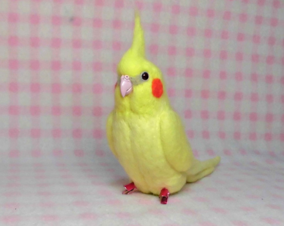 Wool clip 　Cockatiel1 第4張的照片