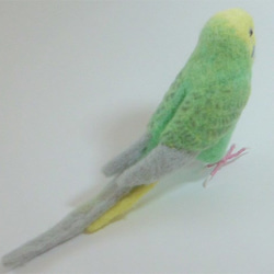 リアルサイズ♪ セキセイインコ パステルブル－グリ－ンオパ－リン 羊毛フェルト　受注作成　羊毛インコ　鼻の色変更可能 5枚目の画像