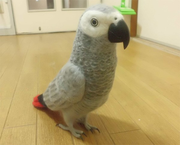 リアルサイズ ヨウム  Wool figure Real size  Gray parrot  Stuffed wool 2枚目の画像