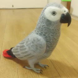 リアルサイズ ヨウム  Wool figure Real size  Gray parrot  Stuffed wool 4枚目の画像