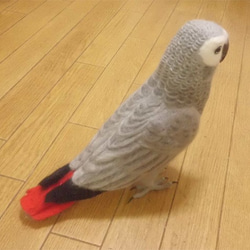 リアルサイズ ヨウム  Wool figure Real size  Gray parrot  Stuffed wool 5枚目の画像