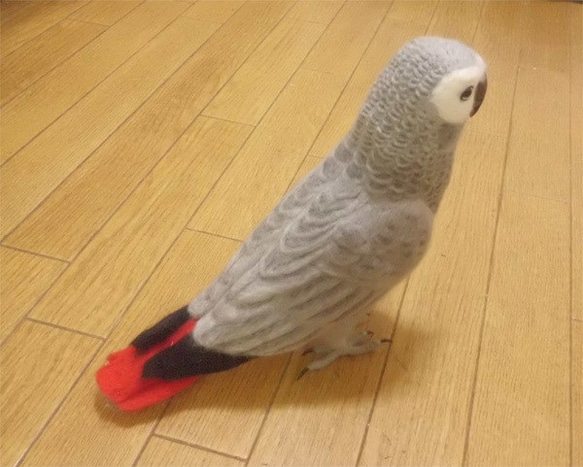 リアルサイズ ヨウム  Wool figure Real size  Gray parrot  Stuffed wool 5枚目の画像