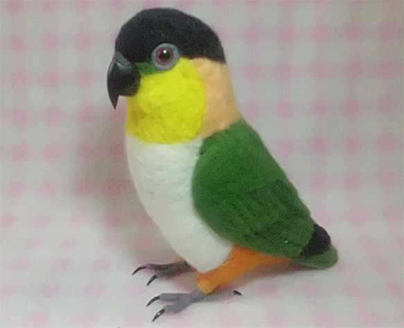 *現實大小♪黒頭鸚鵡☆羊毛氈*■Black Headed Caique /Stuffed wool/Wool figur 第3張的照片