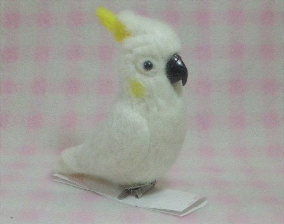 コバタン mini♪マグネット/ブローチどちらか選択　足有に変更可能　受注作成　羊毛インコ　羊毛ぬいぐるみ　工房小鳥屋さ 1枚目の画像