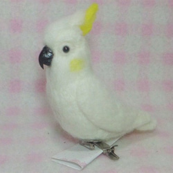 小巴丹（小葵花鳳頭鸚鵡）★夾＆胸針/mini yellow-crested cockatoo★clip & brooch 第4張的照片