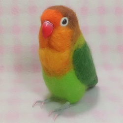 【羊毛フェルト】セネガルパロット　鳥 羊毛フェルト】セネガルパロット 鳥