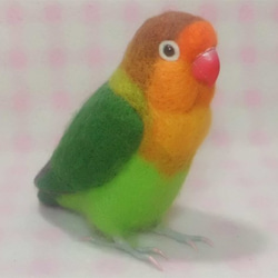 リアルサイズ♪ ボタンインコ ルリコシボタン 羊毛フェルト　受注作成　うちのこオーダー可能　羊毛インコ　メモリアル 4枚目の画像