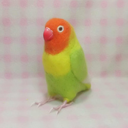 リアルサイズ♪ ボタンインコ ヤマブキボタン 羊毛フェルト　受注作成　うちの子オーダー可能　羊毛インコ　メモリアル 1枚目の画像