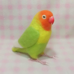 リアルサイズ♪ ボタンインコ ヤマブキボタン 羊毛フェルト　受注作成　うちの子オーダー可能　羊毛インコ　メモリアル 2枚目の画像