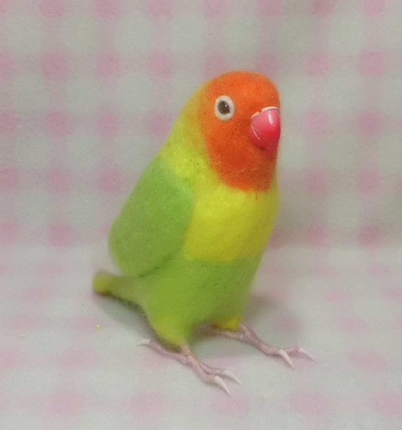 リアルサイズ♪ ボタンインコ ヤマブキボタン 羊毛フェルト　受注作成　うちの子オーダー可能　羊毛インコ　メモリアル 3枚目の画像