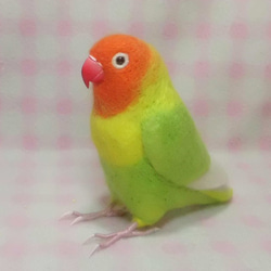 リアルサイズ♪ ボタンインコ ヤマブキボタン 羊毛フェルト　受注作成　うちの子オーダー可能　羊毛インコ　メモリアル 4枚目の画像