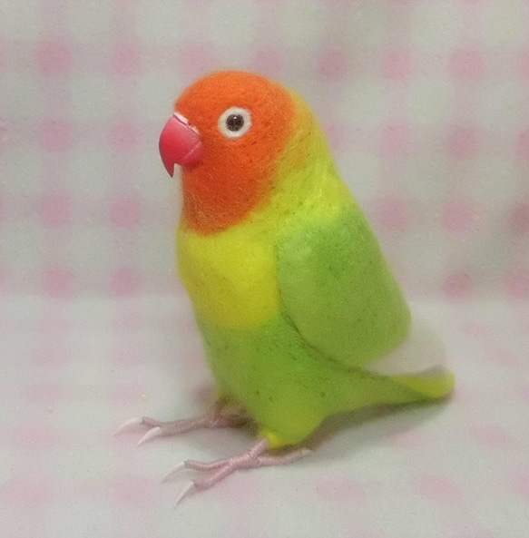 リアルサイズ♪ ボタンインコ ヤマブキボタン 羊毛フェルト　受注作成　うちの子オーダー可能　羊毛インコ　メモリアル 4枚目の画像