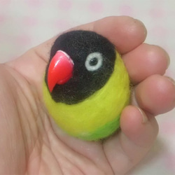 キエリクロボタンインコ ☆マグネット/ブローチ どちらか選択 受注作成　うちのこオーダー可能 羊毛フェルト　羊毛インコ 1枚目の画像