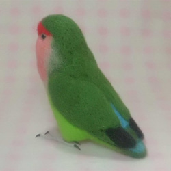 ライフサイズ コザクラインコ ノーマル抹茶色　羊毛フェルト　受注作成　うちの子オーダー可能　羊毛インコ　メモリアル 5枚目の画像