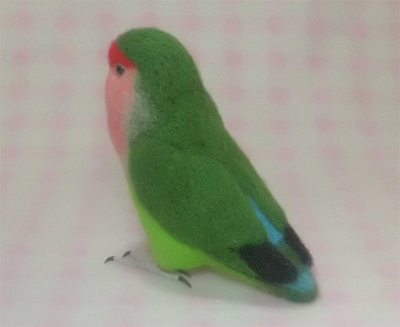 ライフサイズ コザクラインコ ノーマル抹茶色　羊毛フェルト　受注作成　うちの子オーダー可能　羊毛インコ　メモリアル 5枚目の画像