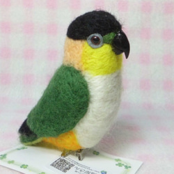 ズグロシロハラインコ mini☆マグネット/ブローチどちらか選択　足有に変更可能　受注作成　羊毛インコ　羊毛フェルト 2枚目の画像