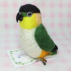 ズグロシロハラインコ mini☆マグネット/ブローチどちらか選択　足有に変更可能　受注作成　羊毛インコ　羊毛フェルト 3枚目の画像