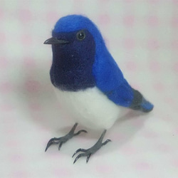 ***現實大小♪大瑠璃 白腹姫鶲☆羊毛氈***Blue-and-White Flycatcher 第2張的照片