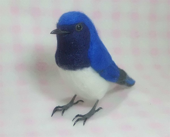 ***現實大小♪大瑠璃 白腹姫鶲☆羊毛氈***Blue-and-White Flycatcher 第2張的照片