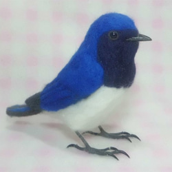 ほぼライフサイズ　オオルリ　大瑠璃　羊毛ぬいぐるみ　受注作成　羊毛フェルト　野鳥　羊毛インコ　工房小鳥屋さん 3枚目の画像