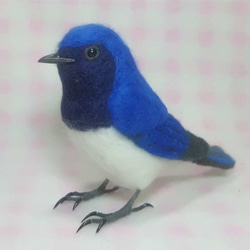 ほぼライフサイズ　オオルリ　大瑠璃　羊毛ぬいぐるみ　受注作成　羊毛フェルト　野鳥　羊毛インコ　工房小鳥屋さん 4枚目の画像