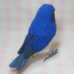 ほぼライフサイズ　オオルリ　大瑠璃　羊毛ぬいぐるみ　受注作成　羊毛フェルト　野鳥　羊毛インコ　工房小鳥屋さん 5枚目の画像