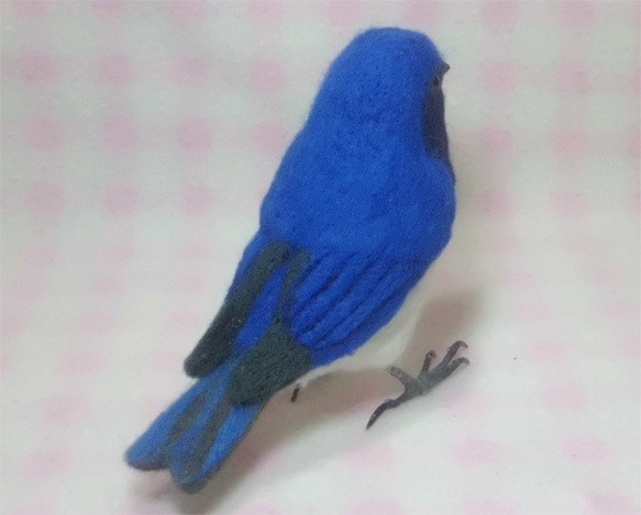 ほぼライフサイズ　オオルリ　大瑠璃　羊毛ぬいぐるみ　受注作成　羊毛フェルト　野鳥　羊毛インコ　工房小鳥屋さん 5枚目の画像