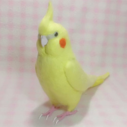 ライフサイズ　オカメインコ イエロールチノー（濃赤目）羊毛フェルト　受注作成　羊毛インコ　羊毛ぬいぐるみ　工房小鳥屋さん 1枚目の画像