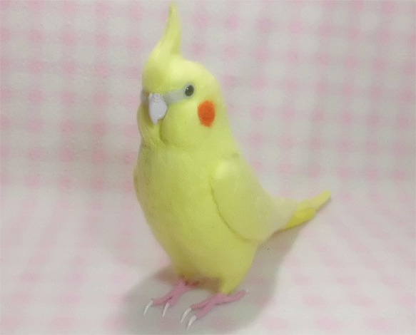 ライフサイズ　オカメインコ イエロールチノー（濃赤目）羊毛フェルト　受注作成　羊毛インコ　羊毛ぬいぐるみ　工房小鳥屋さん 1枚目の画像